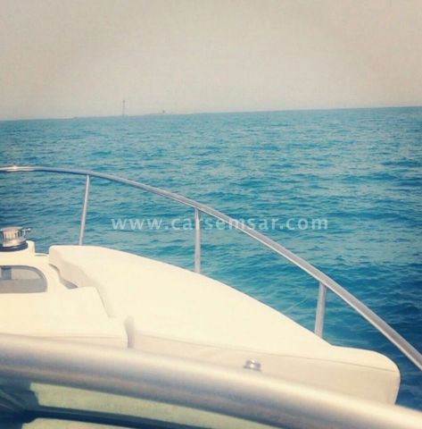 Sea Ray Boat for Sale