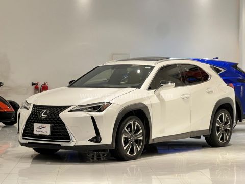 2019 Lexus UX 200