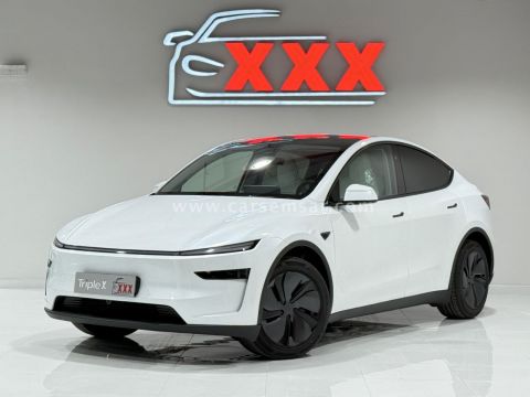 2025 تيسلا Model Y