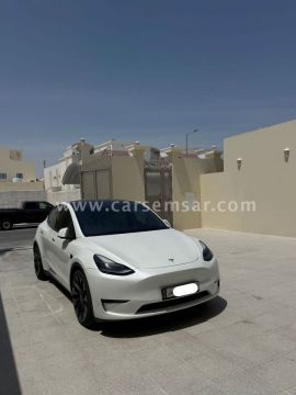 2024 تيسلا Model Y Performance