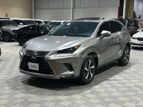 2020 Lexus NX 300