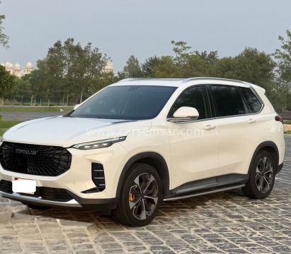 2023 Saic Maxus D60