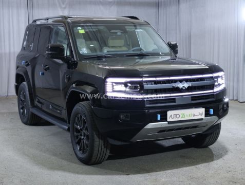 2025 بي واي دي ليوبارد 5 الترا