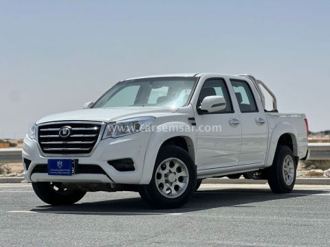 2020 Great Wall Wingle 6