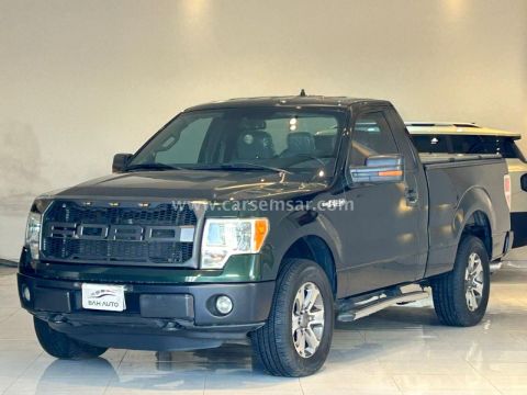 2013 فورد F-150