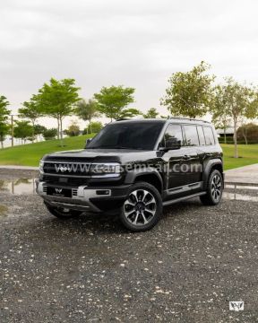 2024 بي واي دي ليوبارد 5