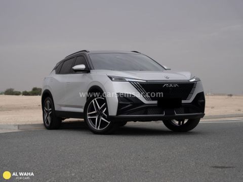 2025 دونج فنج ميج