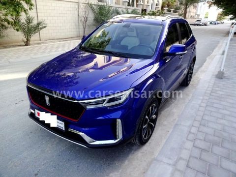 2022 بيستون T33