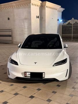 2025 تيسلا Model 3 Performance