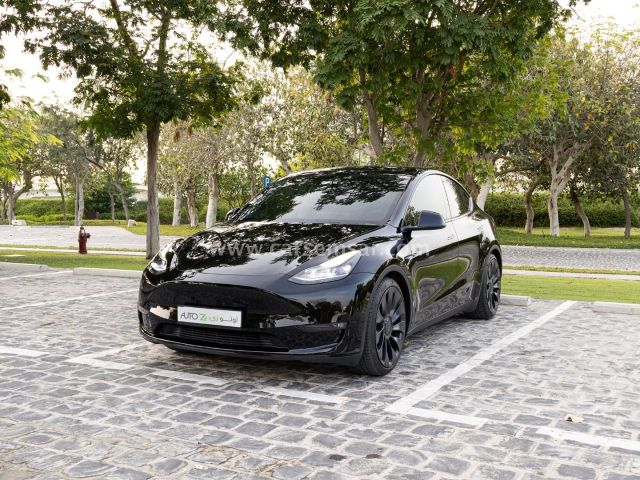 2024 Tesla Model Y Performance — photo 1 for sale in Qatar
