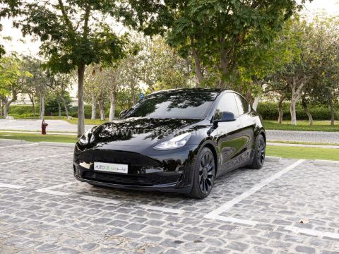 2024 تيسلا Model Y Performance