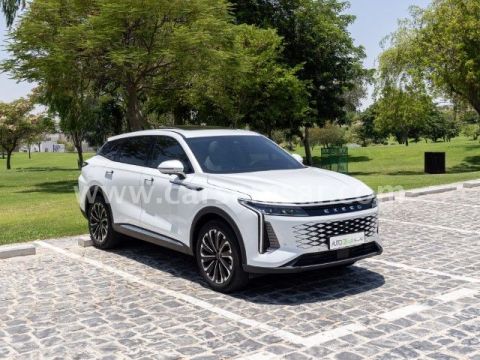 2024 إكسيد RX 400T