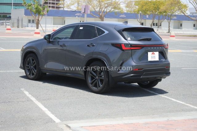 2026 Lexus NX 350h — photo 2 for sale in Qatar