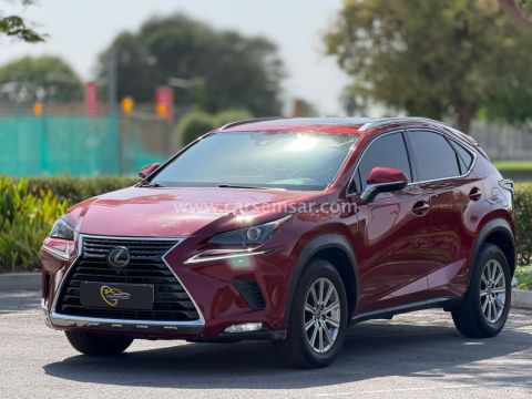 2021 لكزس NX 300