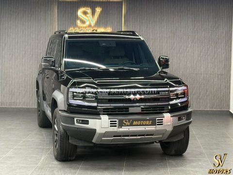 2025 بي واي دي ليوبارد 5